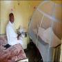 Sawat Me Dengue k Mareezo Ki Tadad  300 Ho Gaye