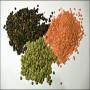 Pulses Helps prevent high blood pressure MAHREEN