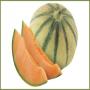 Mellon is Usefull for deadly diseases