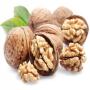 Walnut nutritious Exchequer