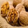 Walnut precious gift of natural health which are hidden in various secret