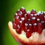 Each of the multiple benefits of pomegranate fruits are hidden