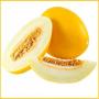 Melon catholicon for deadly diseases