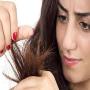 Women article hair tips