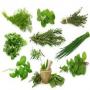 Herbs Naturegift of