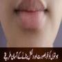 How to maintain the beauty and charm of the lips