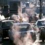 Air pollution also causes obesity RESEARCH
