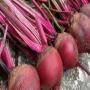 Benefits of sugar beets