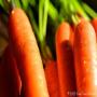 Beauty adorn carrots