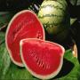Water Melon is very good and healthy for heart and blood pressure