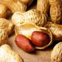 Eat peanuts and sugar control LATEST RESEARCH