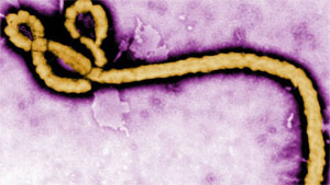 Ebola Outbreak Will End In 2015