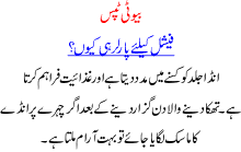 Beauty Tips In Urdu Why Go To Beauty Parlour For Facial