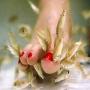 Fish Pedicure used in turkey for beauty and health of feet