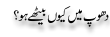Urdu Joke Online : Dhoop Main Kion Behtay Hoo