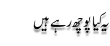 Urdu Joke Online : Yeh Kia Pooch Rahay Ho