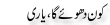 Urdu Joke Online : Kaun Dhoye Ga Aur Yaari