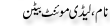 Urdu Joke Online : Naam Aur Lady Mountbaitin