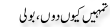 Urdu Joke Online : Tumhain Kion Doon Aur Boli
