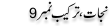 Urdu Joke Online : Nijaat Tarkeeb No 9