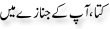 Urdu Joke Online : Kutta Ap K Janazay Ma