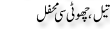 Urdu Joke Online : Tail Choti C Mehfil
