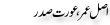 Urdu Joke Online : Asal Umer Orat Sadar