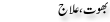 Urdu Joke Online : Bhoot Ilaj