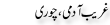Urdu Joke Online : Ghareeb Admi Chori