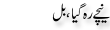 Urdu Joke Online : Neeche Reh Gya Or Bill