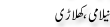 Urdu Joke Online : Neelami Or Khilari