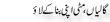 Urdu Joke Online : Galya Or Mati Apni Bana K Laoo