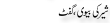 Urdu Joke Online : Scher Ki Biwi Or Gift