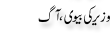 Urdu Joke Online : Wazeer Ki Bewi Or Aag