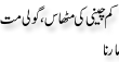 Urdu Joke Online : Kam Cheeni Ki Meethas Or Goli Mat Marna