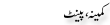 Urdu Joke Online : Kameena Or Paint