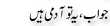 Urdu Joke Online : Jawab Or Ye To Aadmi Hai