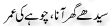 Urdu Joke Online : Seedhe Ghar Ana Or Chohe Ki Umer