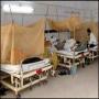 Sindh dangue virus phelna shuru