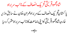 Shah Mehmood Qureshi Tehreek Insaf K Naib Sarbrah