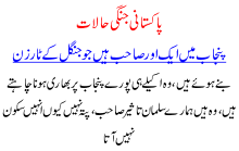 Pakistan And Political War