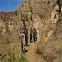 Polio team attacked in Bajaur Agency 2 Worker Killed