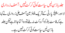 Hasty Listen Politics Is Not Cricket Asif Zardari