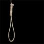 Four criminals were executed for MUSHRAF ATTACK case