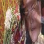 Attacked the anniversary ceremony of salman taseer