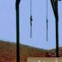2  culprits was executed in Balochistan and Punjab