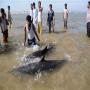 Phet cyclone enters into India leaving Pakistan sea in Peace