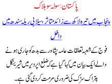 Pakistan 1600 Halak