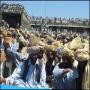 Jirga shiddat psandon ko saza milni chahiay