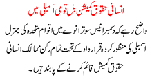Insani Haqook Commision Bill Qomi Assambly Ma Pesh